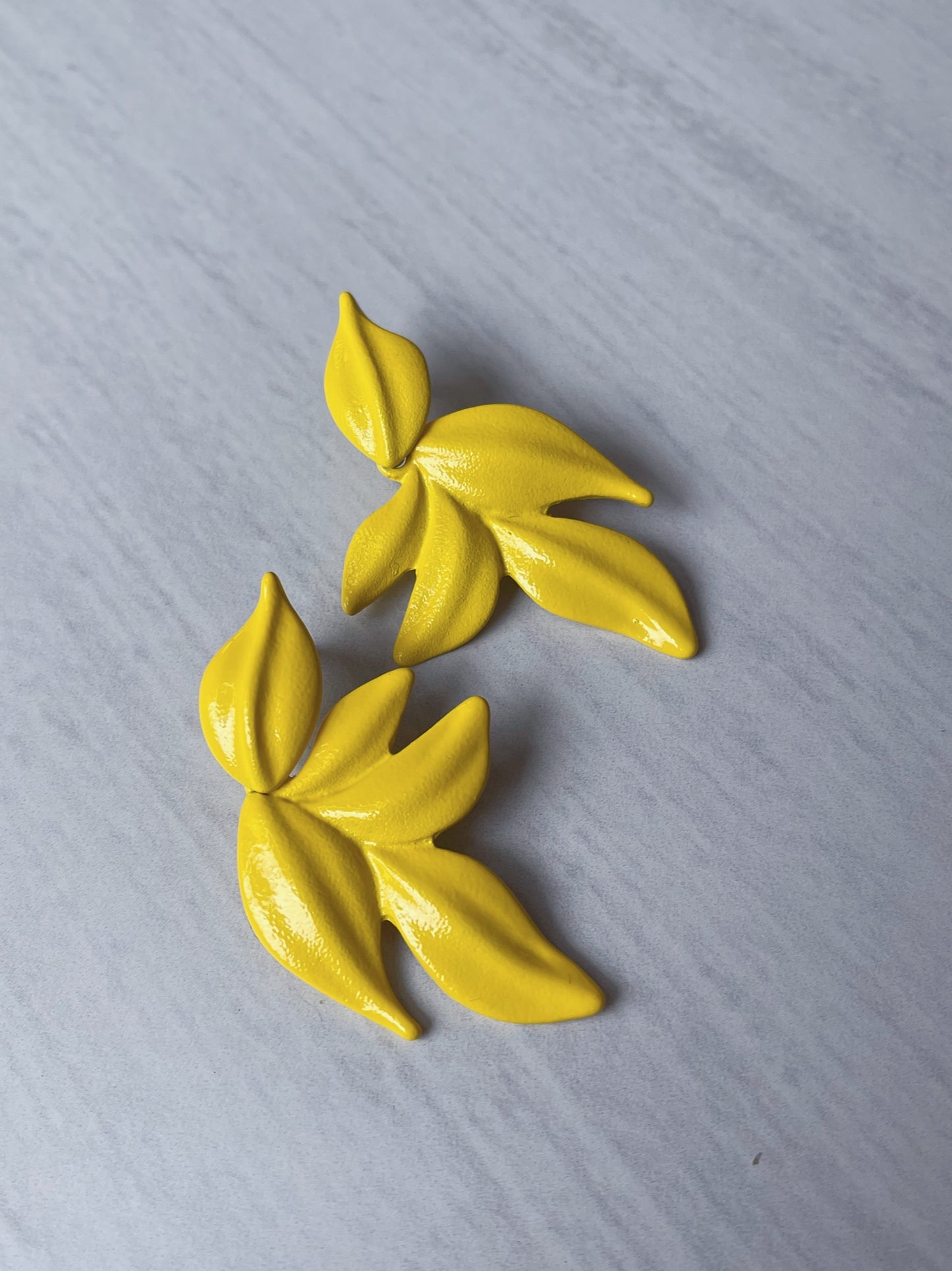 Aretes | Naturaleza