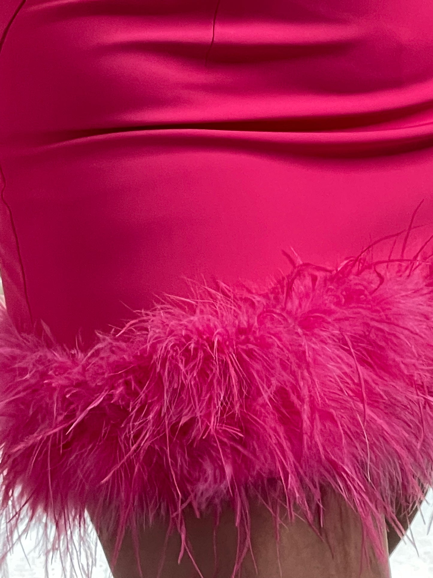 Falda | Skirt Night Out Plumas